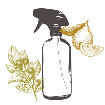 Multi-Surface Cleaner - Orange Bergamot