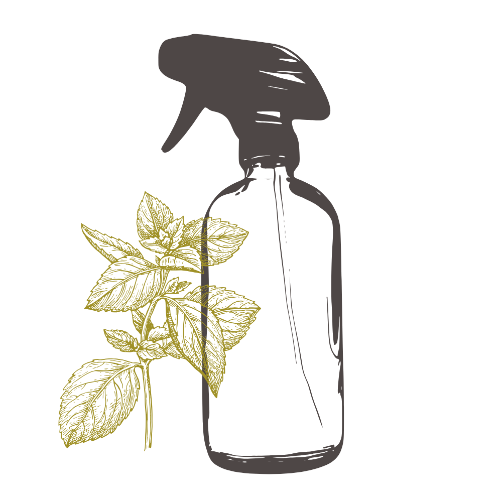 Bathroom Cleaner - Peppermint
