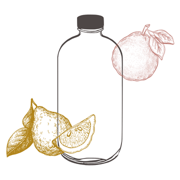 Dish Soap - Grapefruit & Bergamot