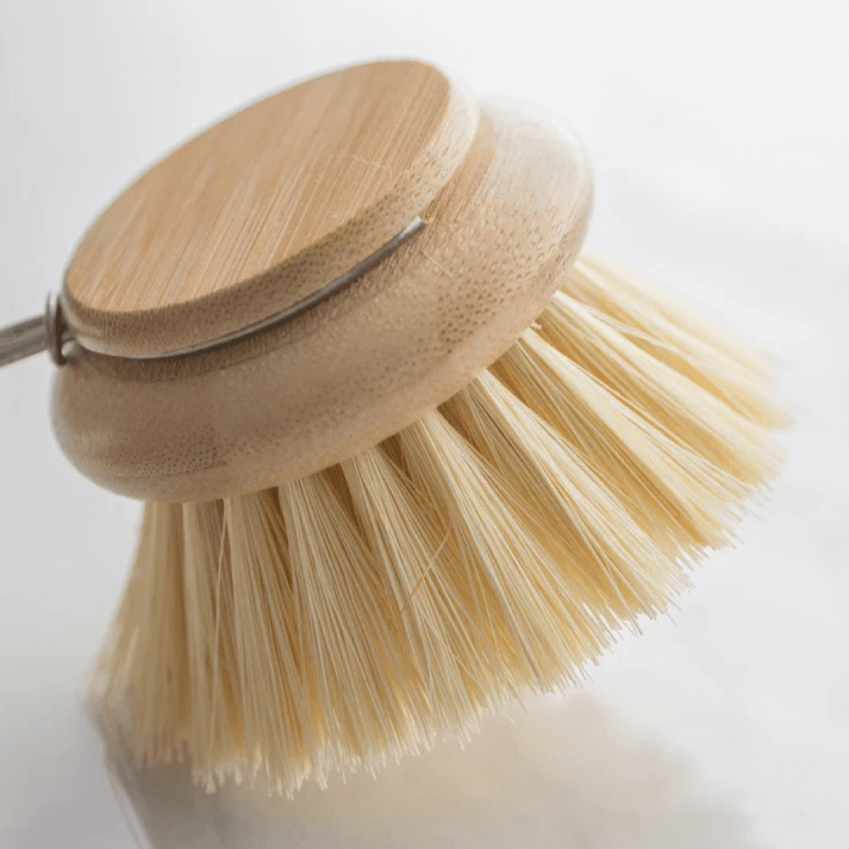 Dish Brush & Replacement Heads – SOLANA