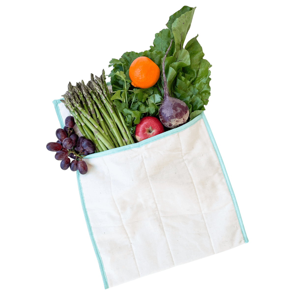 Produce Saver Bag